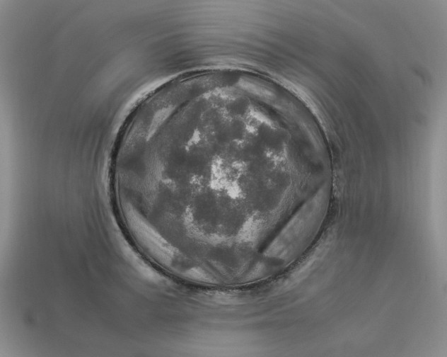 X0000113310995200910051100