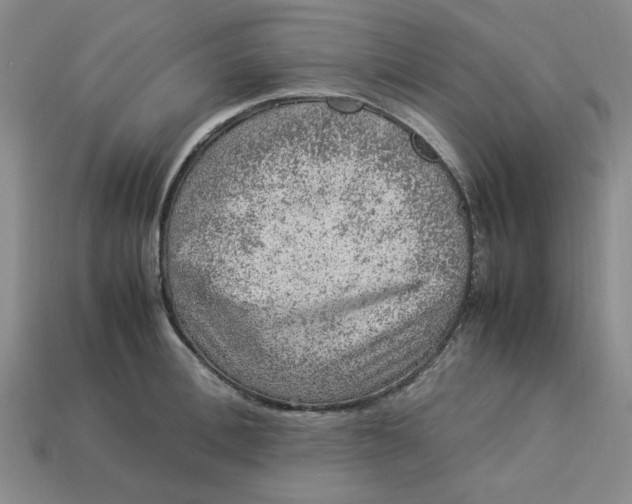 X0000113310996200910051100