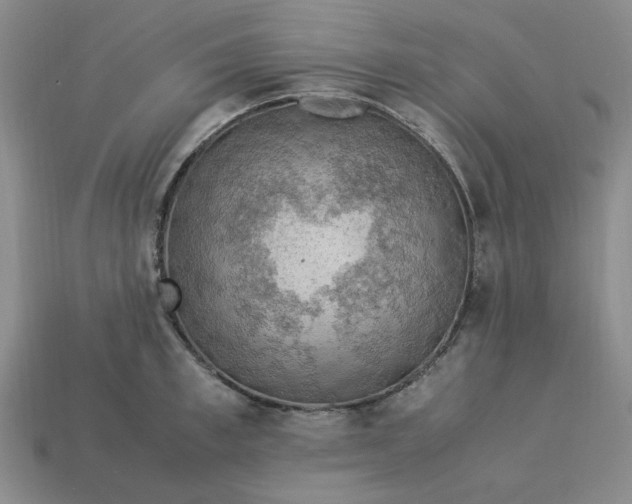 X0000113310997200910051100