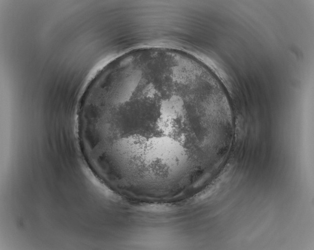 X0000113310998200910051100