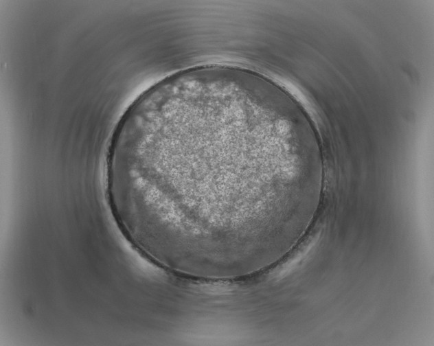 X0000113310999200910051100