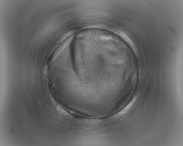 X0000113311001200910051100