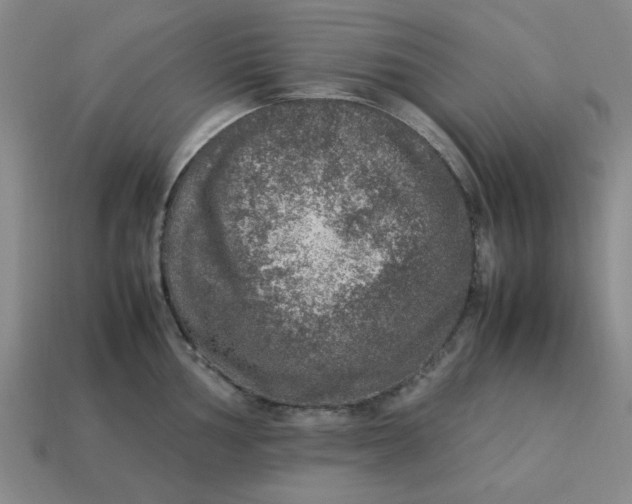 X0000113311002200910051100