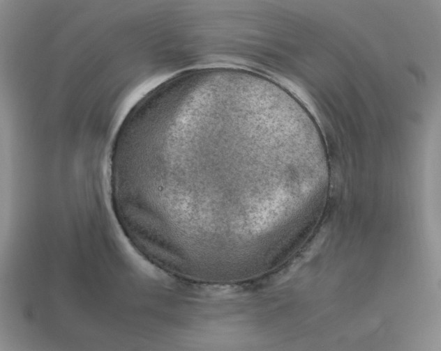 X0000113311003200910051100