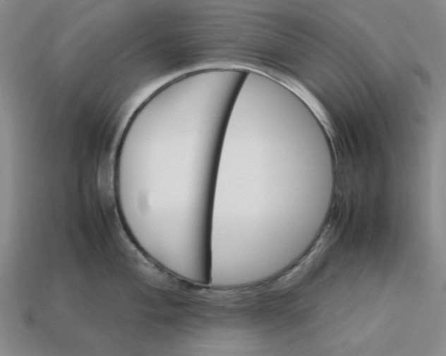 X0000113311004200910051100