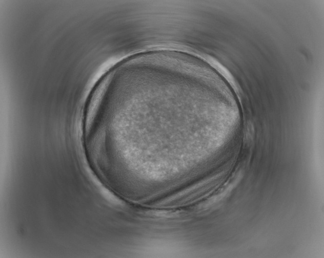 X0000113311005200910051100