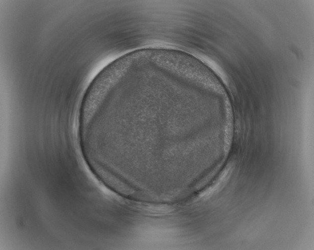 X0000113311007200910051100