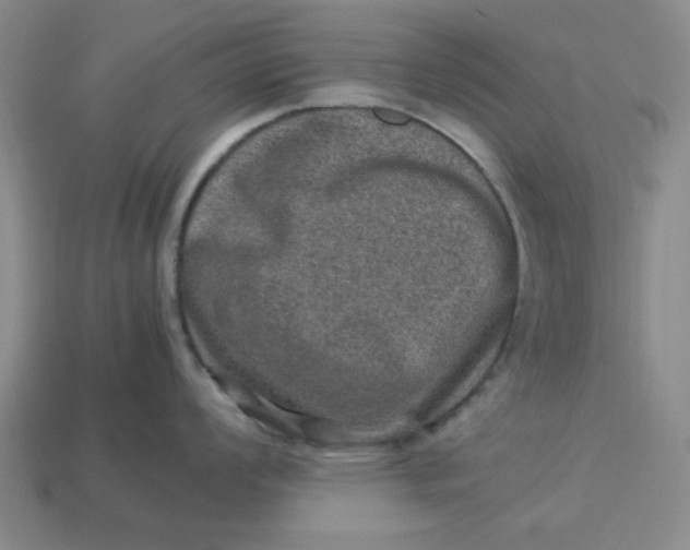 X0000113311008200910051100