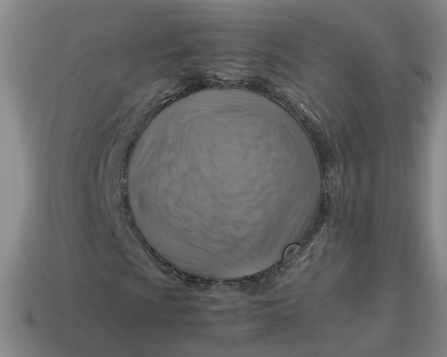 X0000113311009200910051059