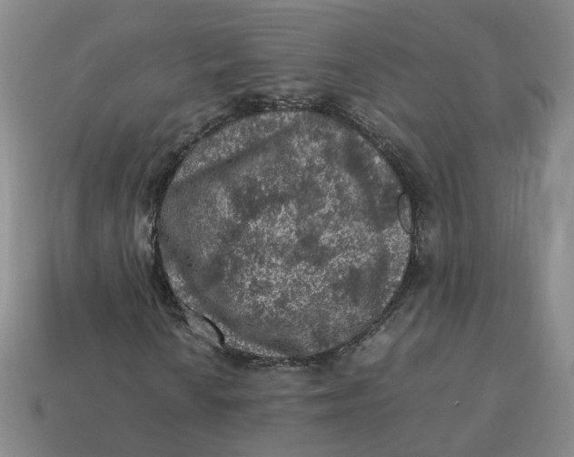 X0000113311010200910051059