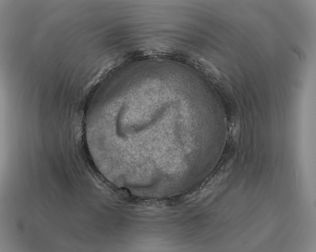 X0000113311012200910051059