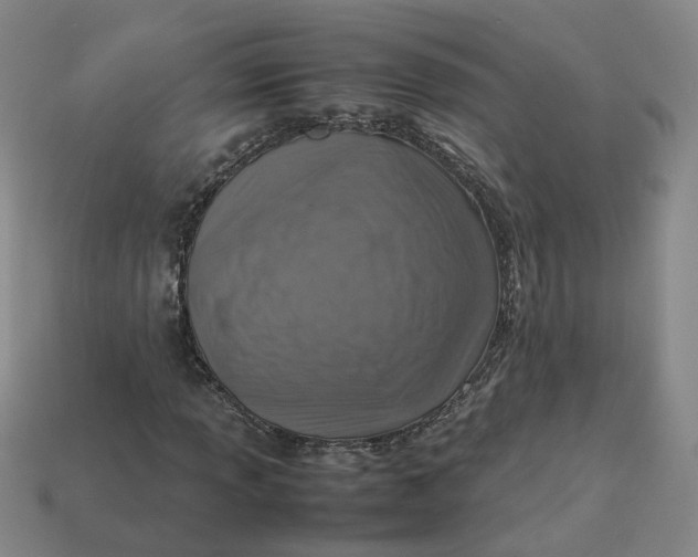 X0000113311013200910051059