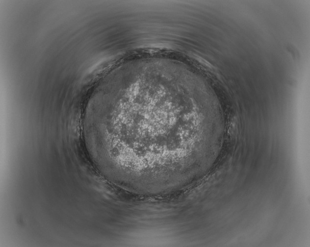 X0000113311014200910051059