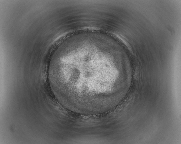 X0000113311015200910051059