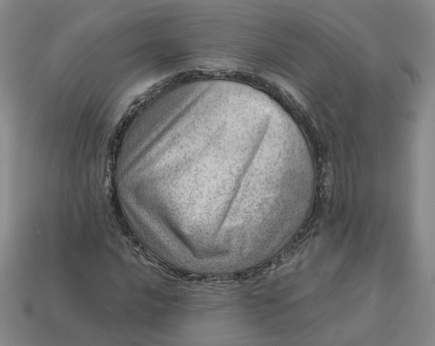 X0000113311016200910051059