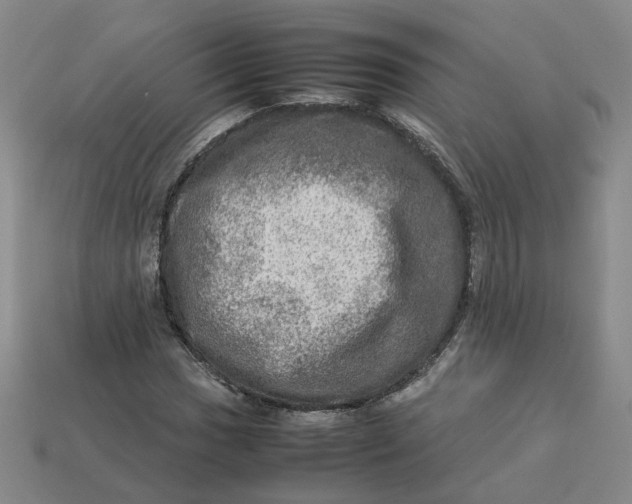 X0000113311017200910051059