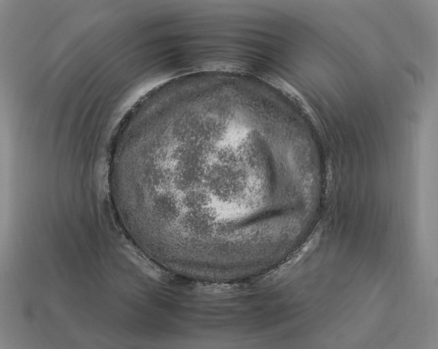 X0000113311019200910051059