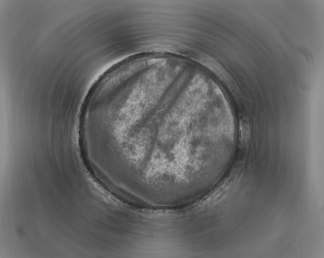 X0000113311020200910051059