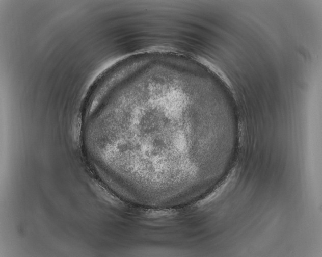 X0000113311021200910051059