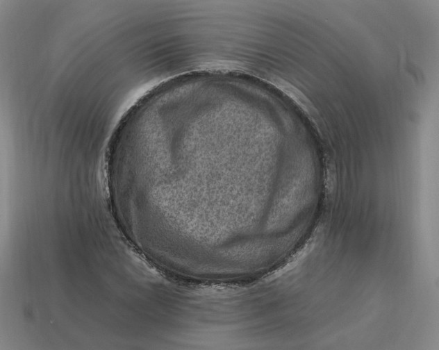 X0000113311022200910051059