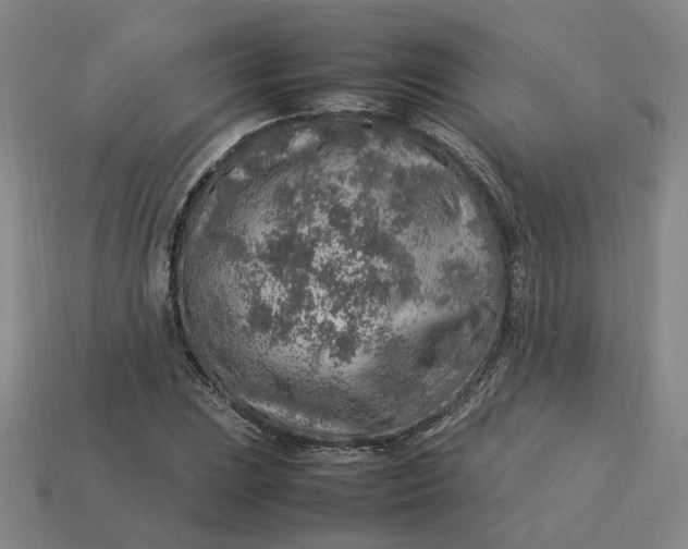 X0000113311023200910051059