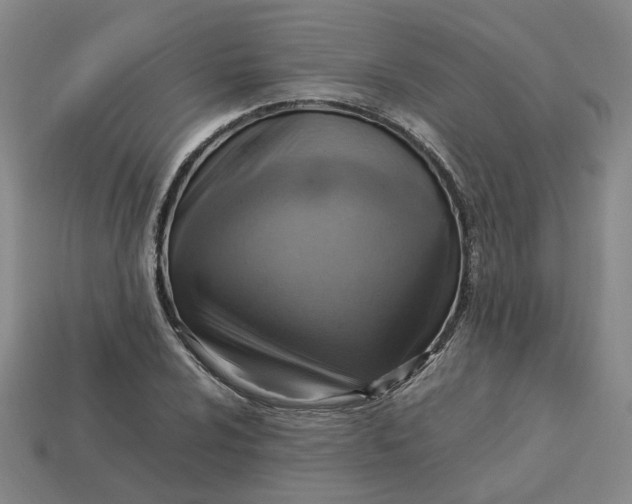 X0000113311024200910051059