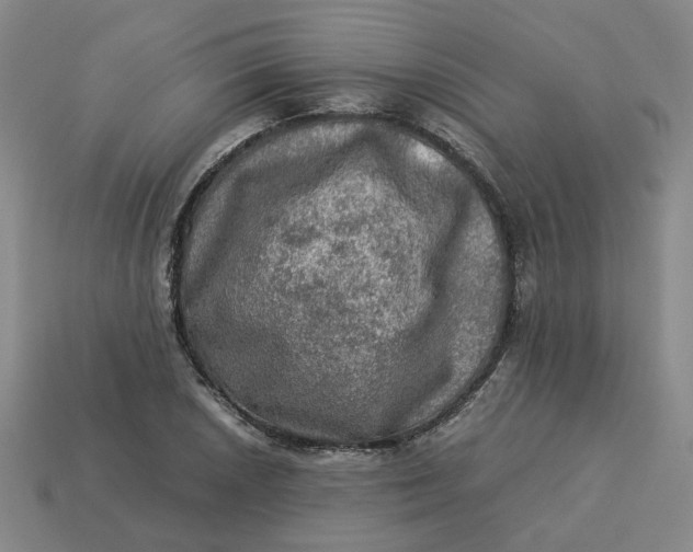 X0000113311026200910051059