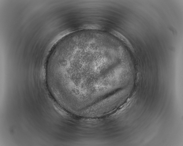 X0000113311027200910051059