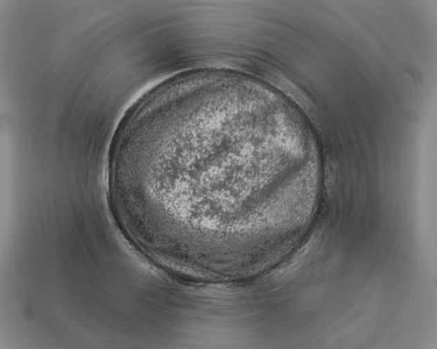 X0000113311028200910051059