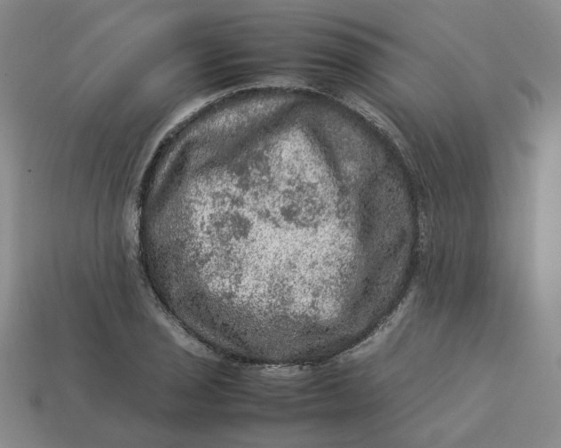 X0000113311029200910051059