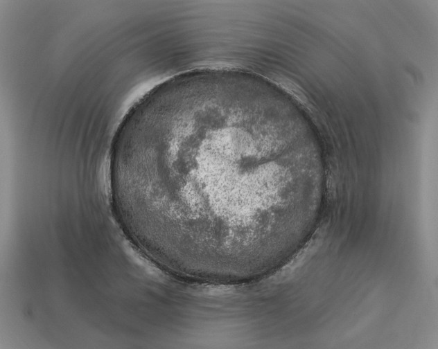 X0000113311030200910051059