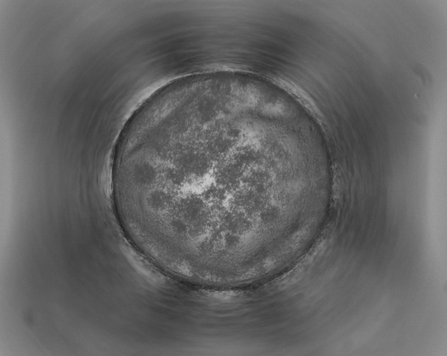 X0000113311031200910051059