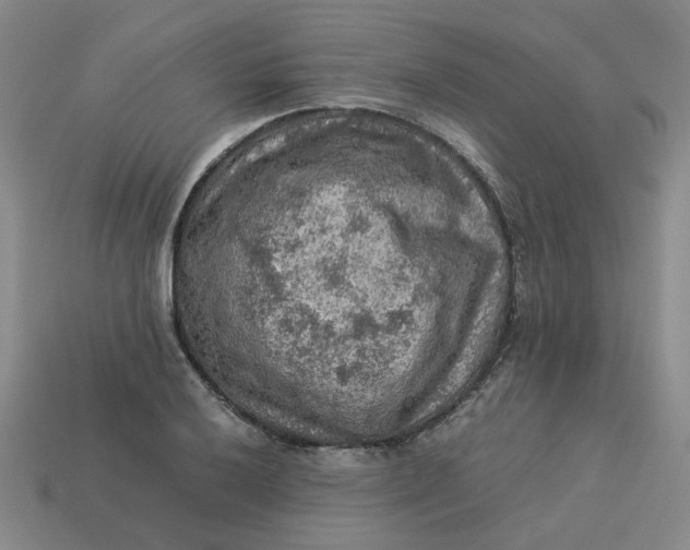 X0000113311032200910051059