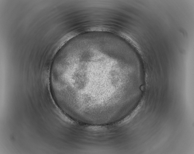 X0000113311033200910051059