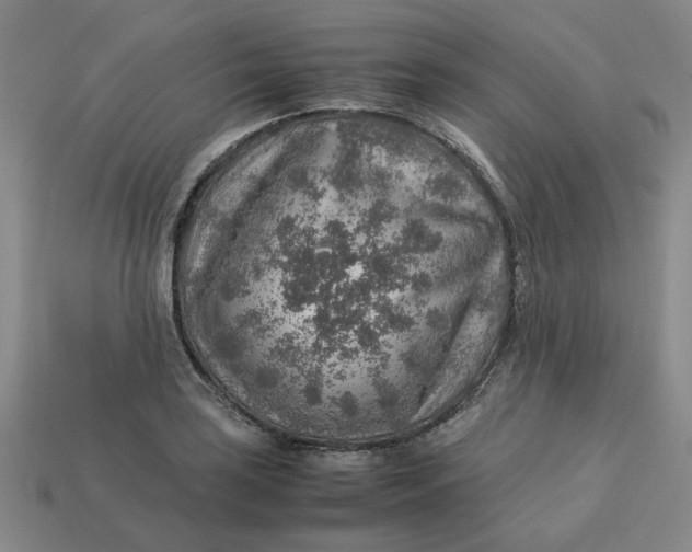 X0000113311035200910051059