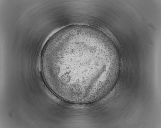 X0000113311036200910051059