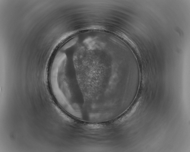 X0000113311037200910051059