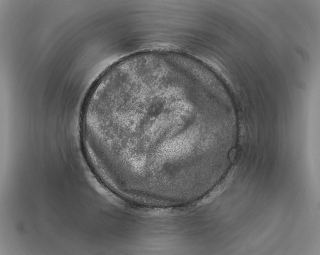 X0000113311038200910051059