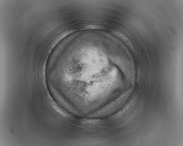 X0000113311039200910051059