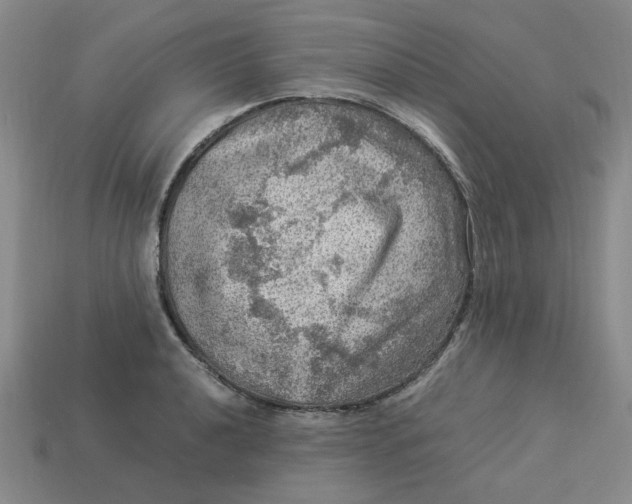 X0000113311040200910051059