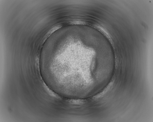 X0000113311041200910051059