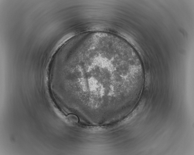 X0000113311042200910051059