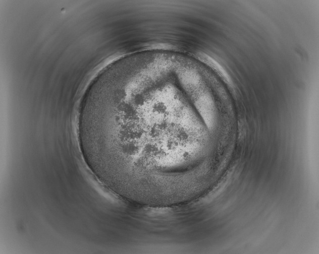 X0000113311043200910051059