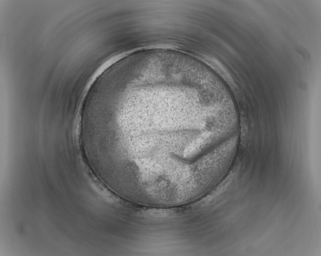 X0000113311044200910051059