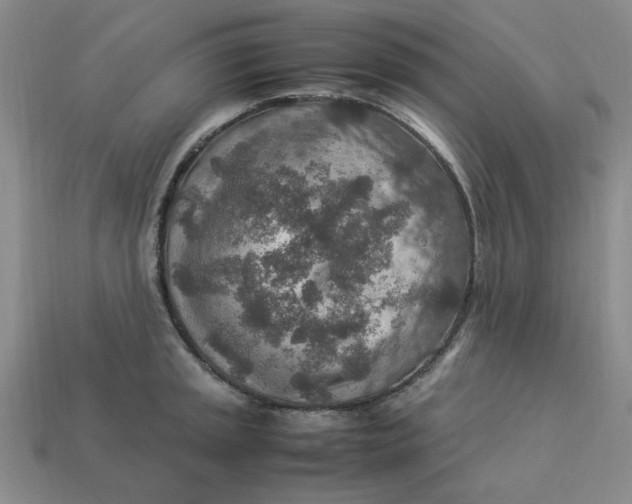 X0000113311045200910051059