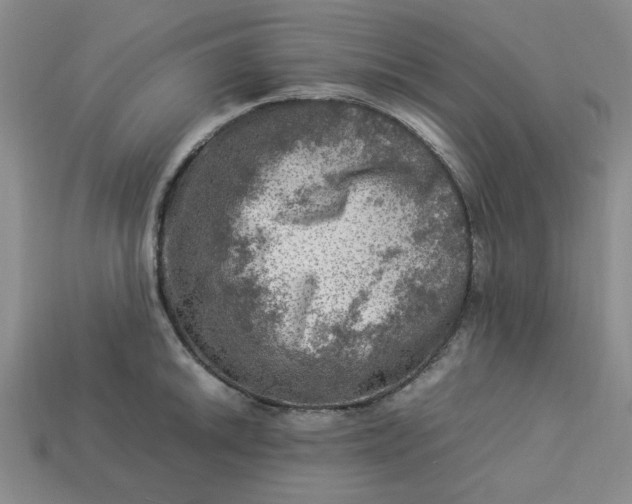 X0000113311046200910051059