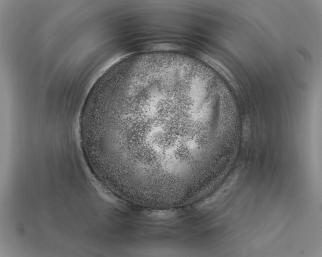 X0000113311047200910051059