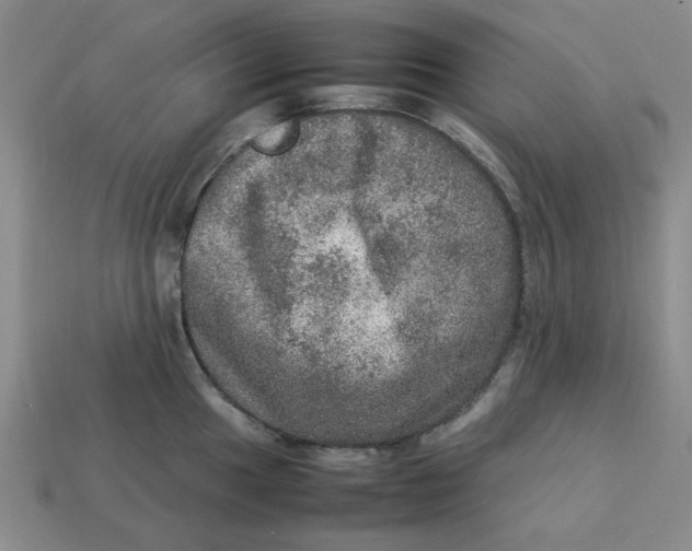 X0000113311049200910051059