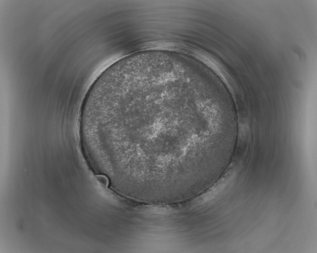 X0000113311050200910051059