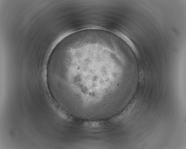 X0000113311051200910051059